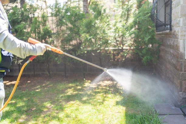 Best Best Pest Control Companies  in Lincoln, IL