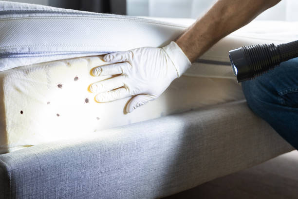 Best Residential Pest Control  in Lincoln, IL