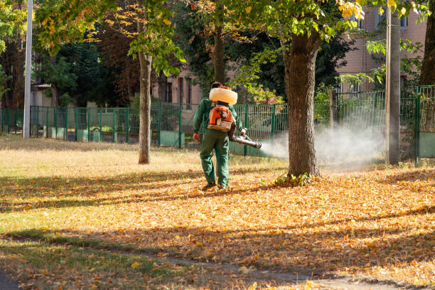 Best Commercial Pest Control Services  in Lincoln, IL