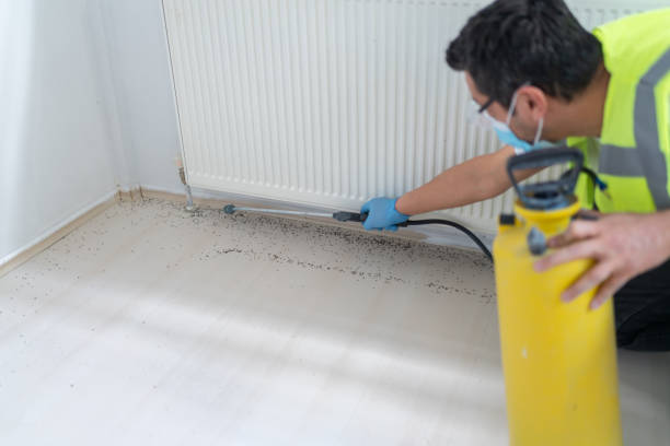 Best Cockroach Control Services  in Lincoln, IL